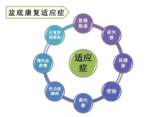 都在想盆底康复治疗仪品牌，为何别人看的是盆底康复治疗仪的功效与作用